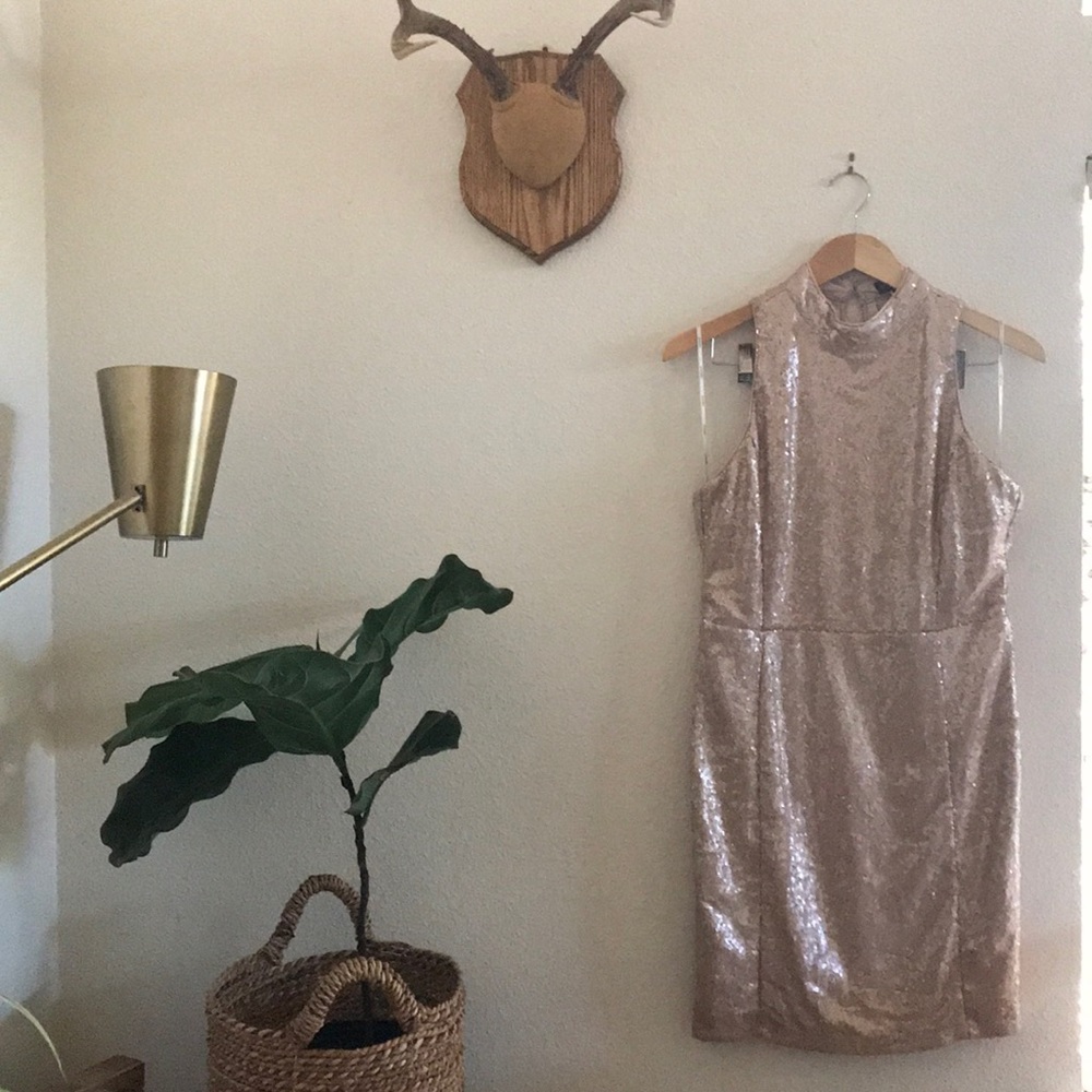 Nude Sequins Dress